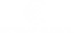 skymap-global-logo-white